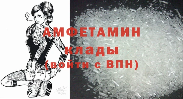гидра Верея